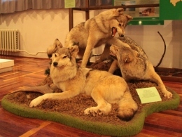 ����� �������, ������������� ����� ���������� ����