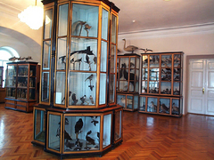 ������������� ����� ���