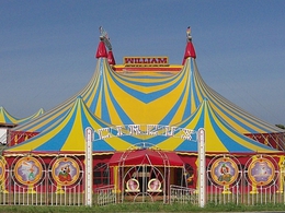 ���� ������ �. ������������ (� ������)