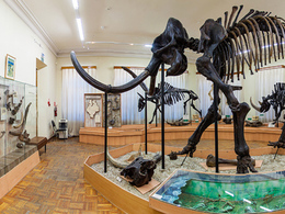 ��������� ����