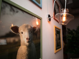 ��� �����