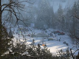 �������� 2015