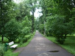 ���� ������ �������