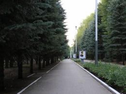 ���� ������