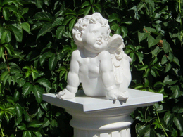 ���������� ����������