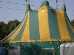 ������� �����-��������