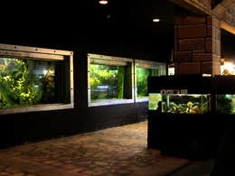 ����������