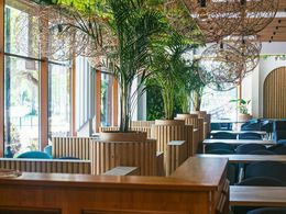 �����-�����