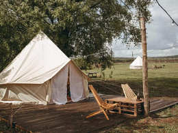 ���-����� �����