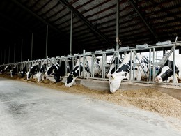 �������� ����� ��������